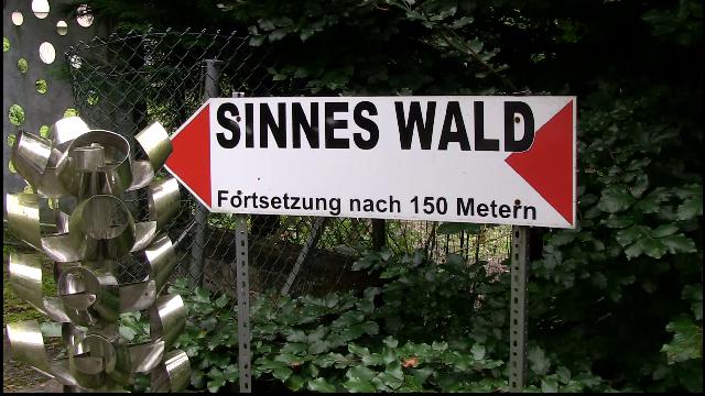 Der Skulpturenpark Sinneswald+